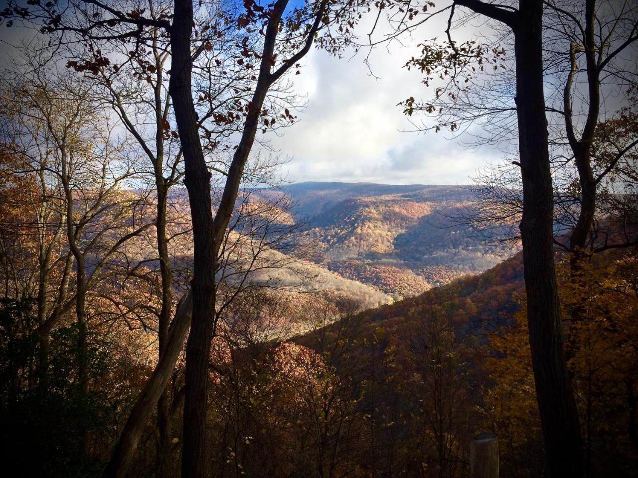 Confluence Paddler'S Lane Retreatヴィラ エクステリア 写真