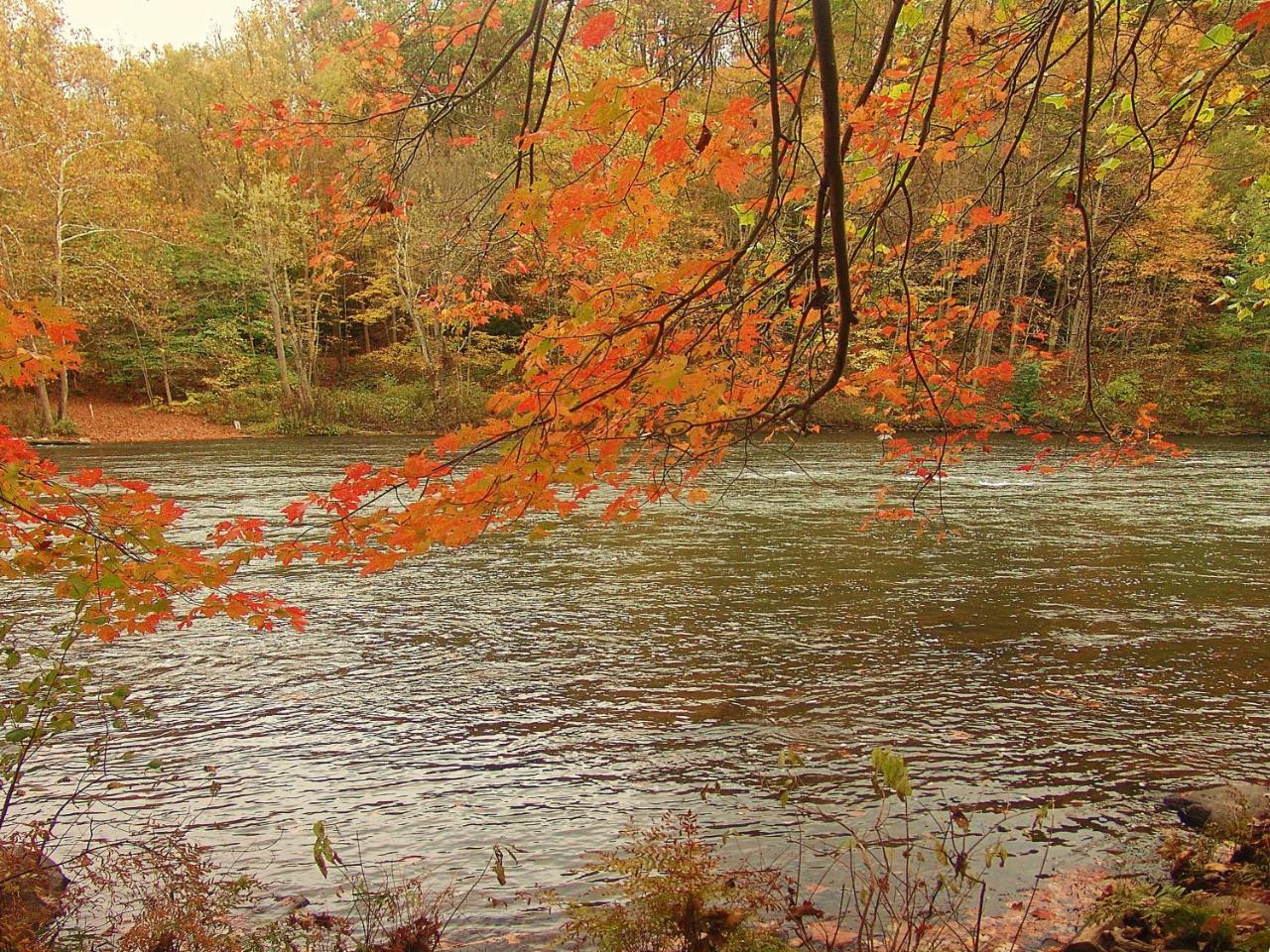 Confluence Paddler'S Lane Retreatヴィラ エクステリア 写真