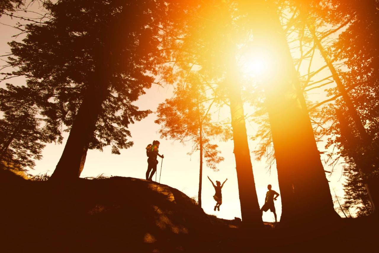 Confluence Paddler'S Lane Retreatヴィラ エクステリア 写真