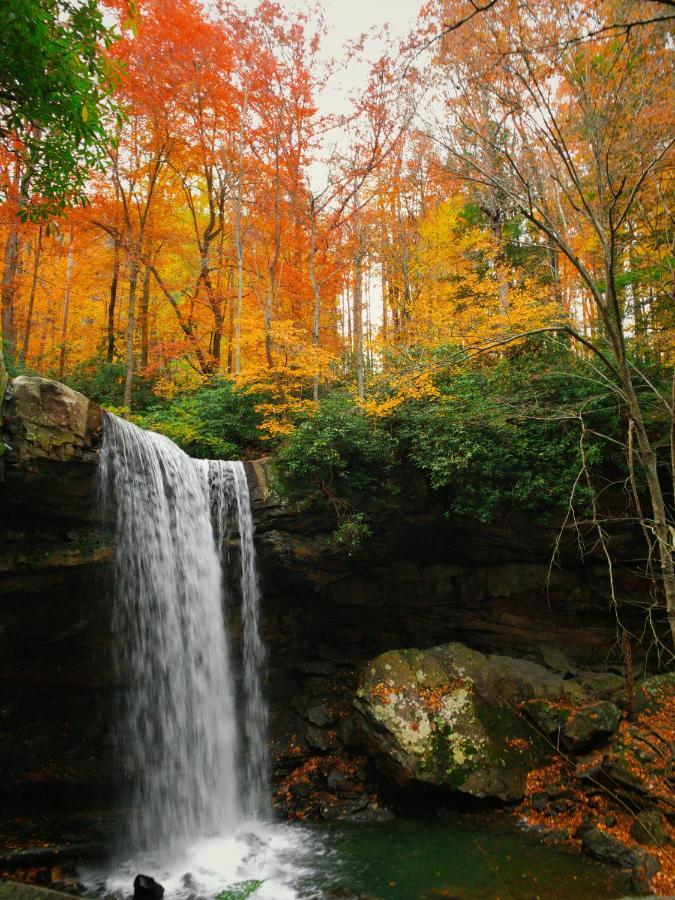 Confluence Paddler'S Lane Retreatヴィラ エクステリア 写真