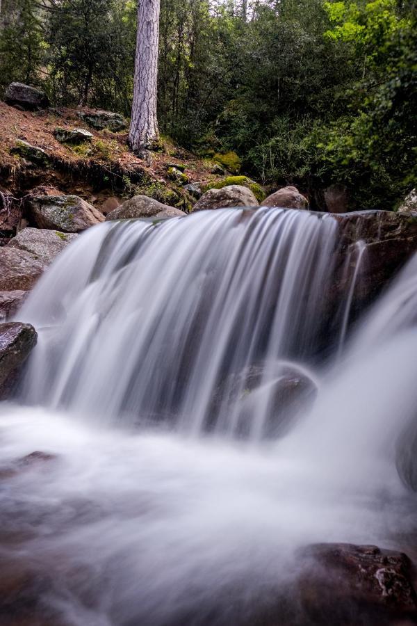 Confluence Paddler'S Lane Retreatヴィラ エクステリア 写真